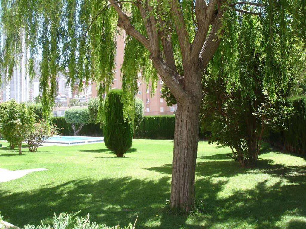 Los Olivos - Zand Properties Бенидорм Номер фото